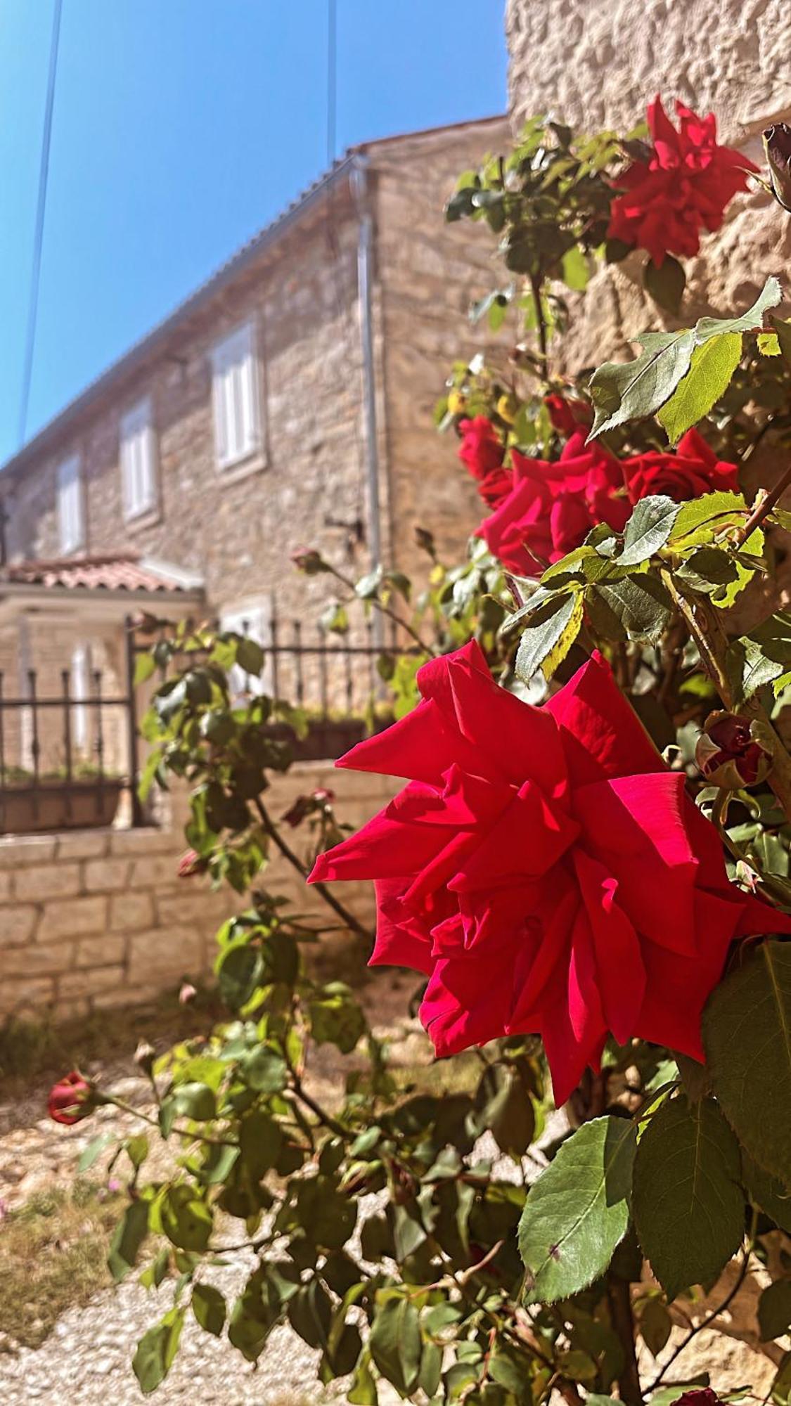 Appartement Spacious Tar-Vabriga